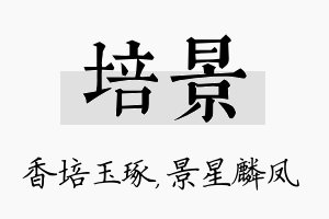 培景名字的寓意及含义