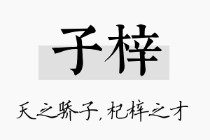 子梓名字的寓意及含义