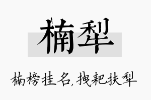 楠犁名字的寓意及含义