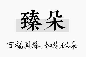 臻朵名字的寓意及含义