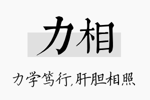 力相名字的寓意及含义