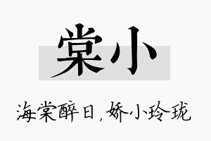 棠小名字的寓意及含义