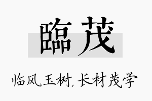 临茂名字的寓意及含义