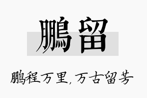 鹏留名字的寓意及含义