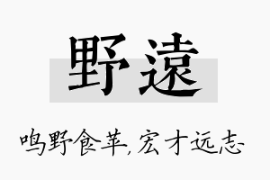 野远名字的寓意及含义