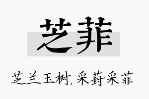 芝菲名字的寓意及含义