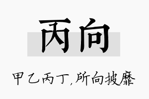 丙向名字的寓意及含义