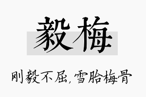 毅梅名字的寓意及含义