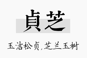 贞芝名字的寓意及含义