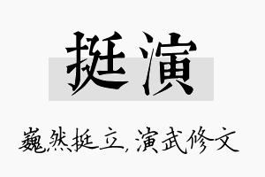 挺演名字的寓意及含义