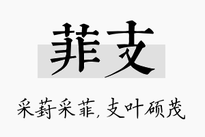 菲支名字的寓意及含义