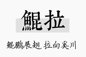 鲲拉名字的寓意及含义