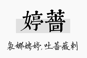 婷蔷名字的寓意及含义