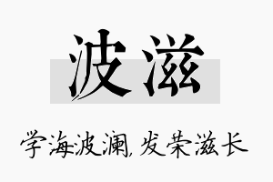 波滋名字的寓意及含义