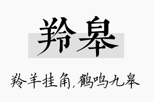 羚皋名字的寓意及含义