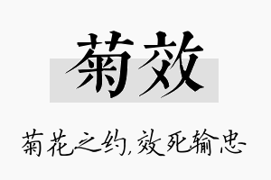 菊效名字的寓意及含义