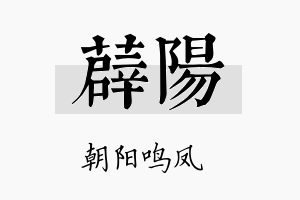 薜阳名字的寓意及含义