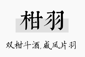 柑羽名字的寓意及含义