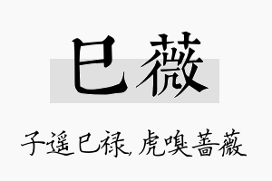 巳薇名字的寓意及含义