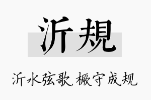 沂规名字的寓意及含义