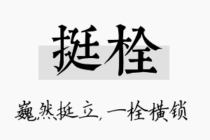 挺栓名字的寓意及含义