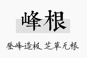 峰根名字的寓意及含义