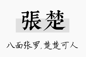 张楚名字的寓意及含义