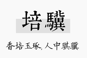 培骥名字的寓意及含义