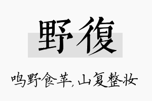 野复名字的寓意及含义