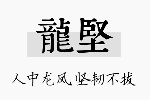 龙坚名字的寓意及含义