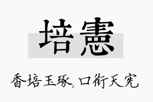 培宪名字的寓意及含义