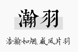 瀚羽名字的寓意及含义