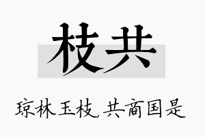 枝共名字的寓意及含义