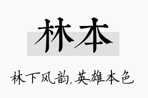 林本名字的寓意及含义