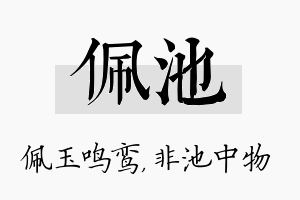 佩池名字的寓意及含义