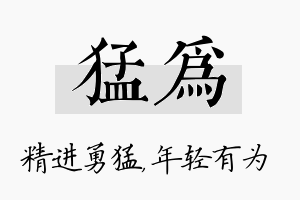 猛为名字的寓意及含义