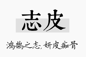 志皮名字的寓意及含义