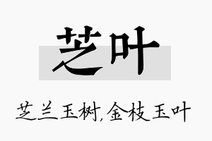 芝叶名字的寓意及含义