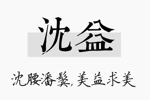 沈益名字的寓意及含义