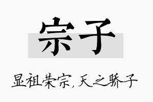 宗子名字的寓意及含义