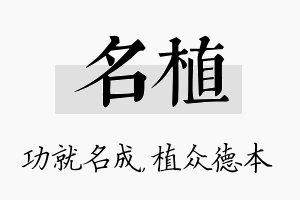 名植名字的寓意及含义