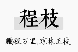 程枝名字的寓意及含义