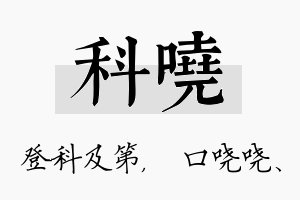 科哓名字的寓意及含义