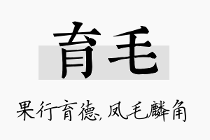 育毛名字的寓意及含义