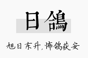 日鸽名字的寓意及含义