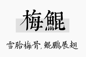 梅鲲名字的寓意及含义