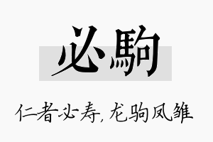 必驹名字的寓意及含义