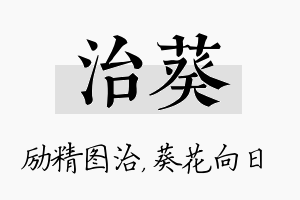 治葵名字的寓意及含义