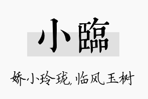 小临名字的寓意及含义