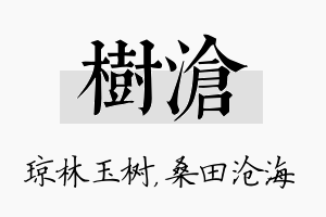 树沧名字的寓意及含义